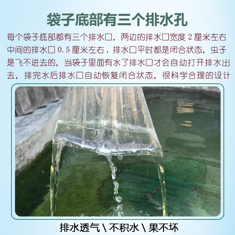 水果保护袋百香果防针蜂防虫袋小香番石榴套袋黄晶梨青枣柠檬套袋-图2