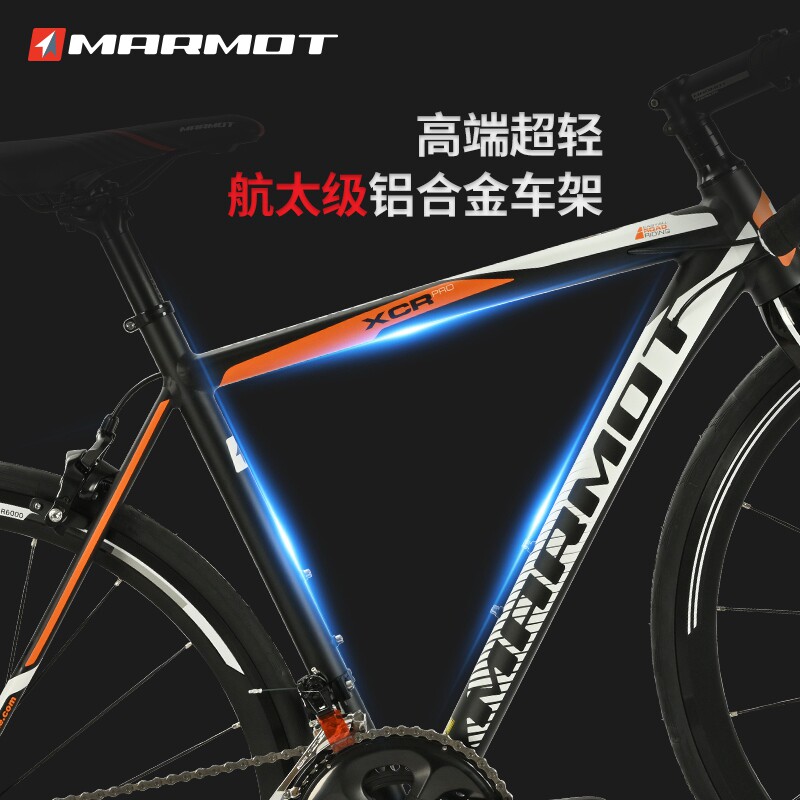 全球十大自行车品牌排名高端专业超轻耐力弯把公路车赛车成人单车