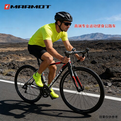 全球十大自行车品牌排名高端专业超轻耐力弯把公路车赛车成人单车 - 图3