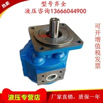 Jinan Quancheng CBGFa-2100 2080 2063 2050 2050 2040 Sichuan Yangtze River Forklift Gear Pump B1R