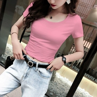 Легкая порошка круглой шеи