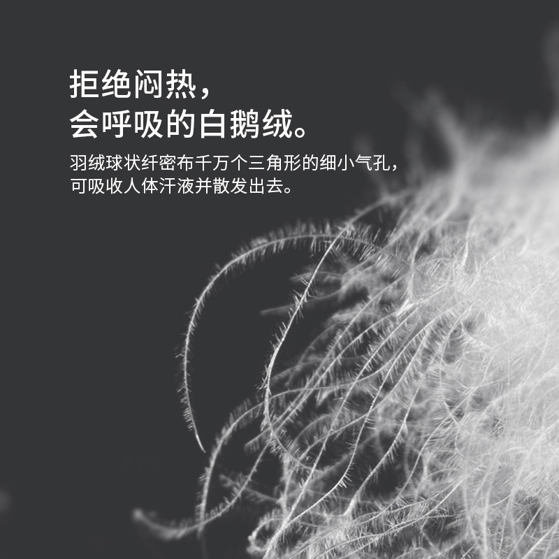 【买一送一】妙睡宝羽绒枕头酒店单人家用双人护颈助睡眠鹅绒枕芯,淘宝优惠券,粉丝福利购,淘宝优惠卷