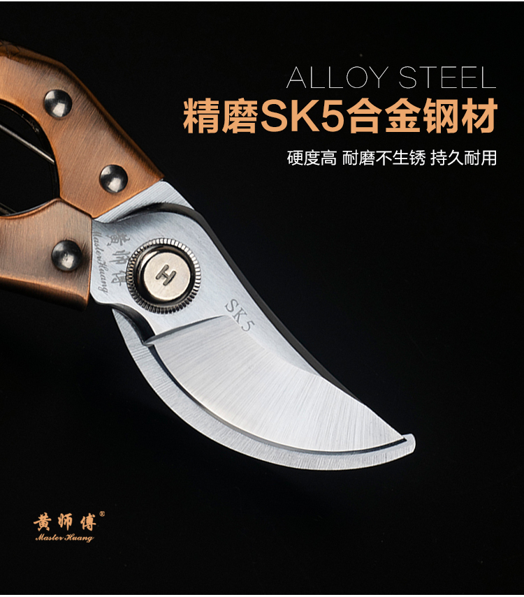 黄师傅苹果梨果树剪子修枝剪树枝剪子家用花艺剪盆栽修剪园艺工具 - 图1