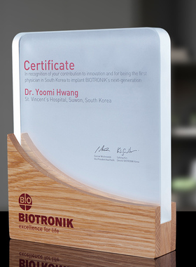 奖杯定制K9水晶奖杯定制创意授权牌公司年会荣誉颁奖实木奖杯年会