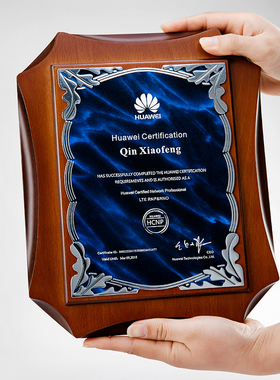 奖牌定制定做木质金银箔牌匾授权书制作加盟经销商授权牌订制年会