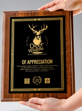 木质奖牌定制定做创意加盟经销商水晶授权牌匾证书聘书金牌纪年会