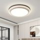 American Bridgelux Ra98 full spectrum living room ceiling lamp