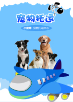 Shandong Jinan Qingdao Zibo Weifang Zining Taian Heze pet consignment air transportation by mail delivery by courier