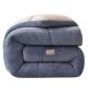 Lamb velvet quilt 2025 new winter quilt core winter dormitory student autumn and winter quilt thickened warm quilt core