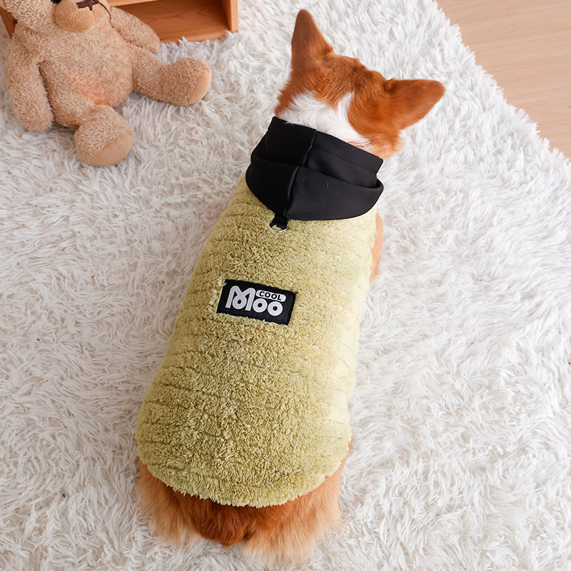 宠物柯基衣服秋冬保暖狗狗两脚衣带帽柴犬法斗中小型犬可牵引绒衣,淘宝优惠券,粉丝福利购,淘宝优惠卷