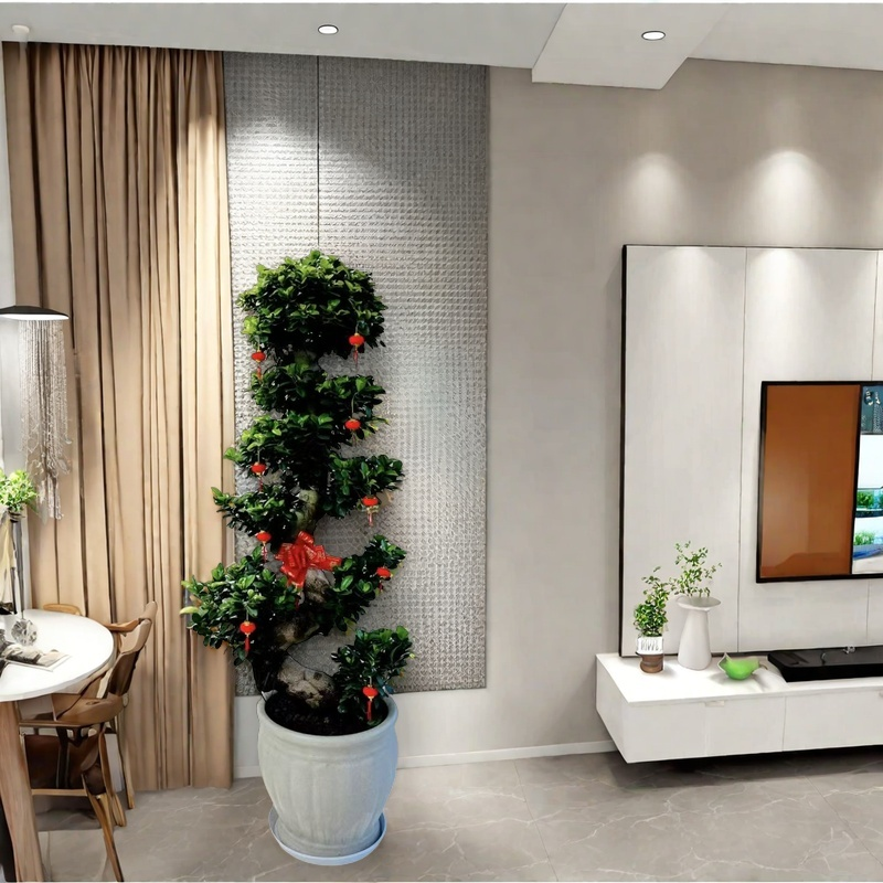 金钱榕树盆栽客厅办公室招财绿植摇钱树乔迁送礼植物四季常青好养,淘宝优惠券,粉丝福利购,淘宝优惠卷