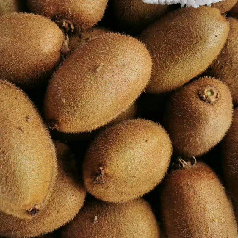 翠香正宗陕西猕猴桃绿心猕猴桃当季新鲜水果奇异果周至弥胡桃,淘宝优惠券,粉丝福利购,淘宝优惠卷