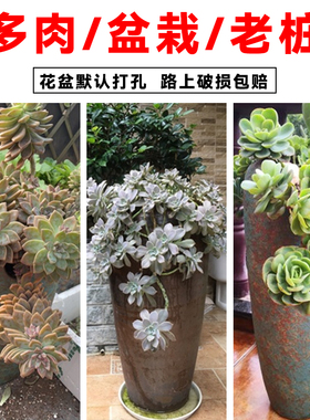 陶瓷景德镇复古缺口花盆大口径