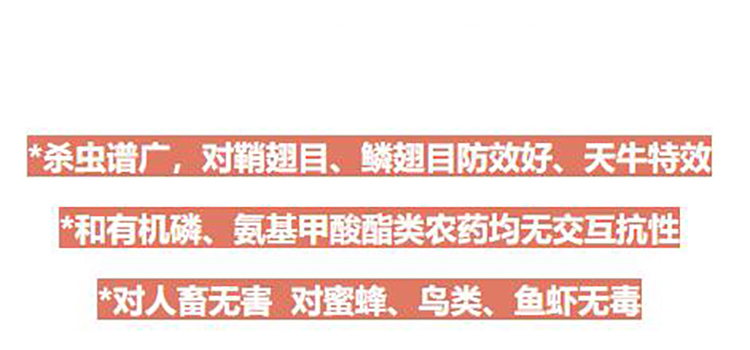 利民炫动 噻虫啉 天牛专用杀虫剂成虫幼虫蚜虫园林树木天牛农药 - 图1