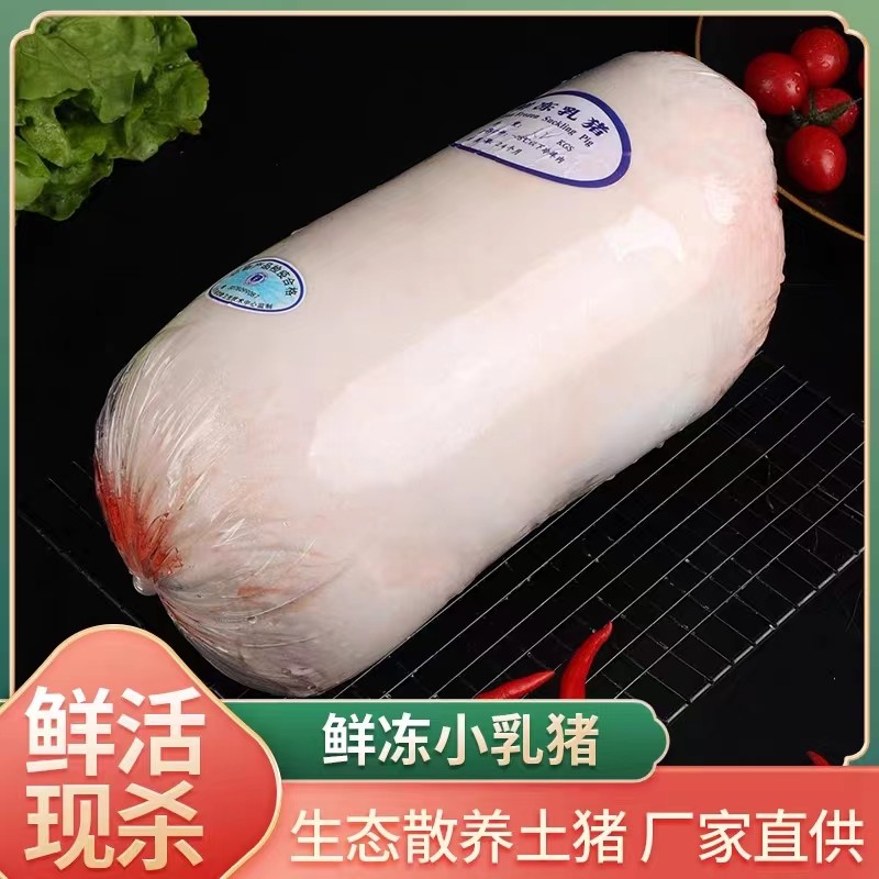 乳猪整只新鲜现拍现杀冷冻小耳广式脆皮宴席烧腊厂祭祖食材小香猪,淘宝优惠券,粉丝福利购,淘宝优惠卷