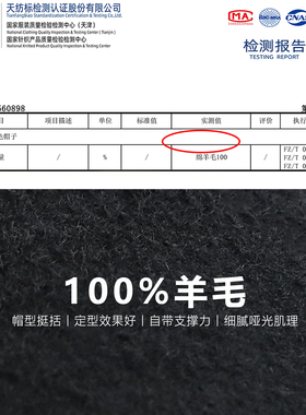 胡茬叔叔秋冬气质羊毛报童帽女