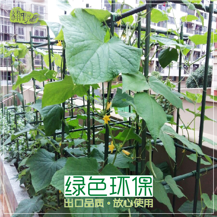 园艺蔬菜种植架盆栽攀爬植物爬藤铁艺花架阳台菜园DIY搭架支柱杆 - 图0