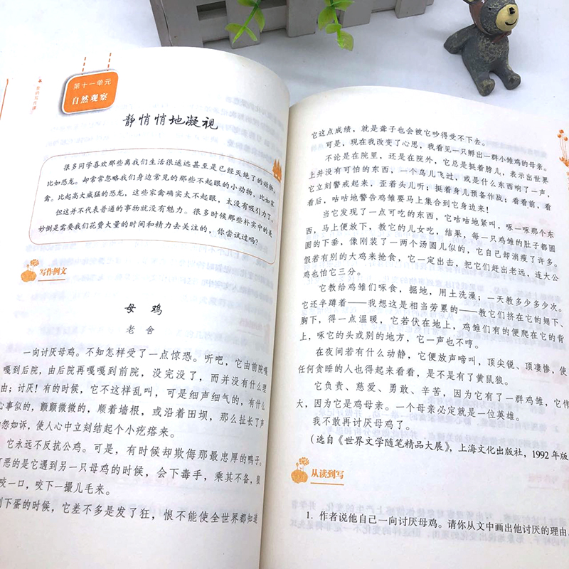 亲近母语我的写作课小学六年级教辅写作能力提高新华正版-图2