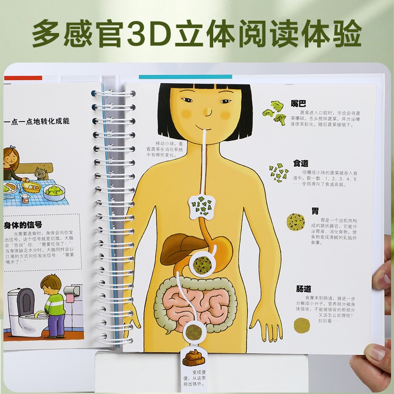 【套装3册】我们的太空+我们的科学+我们的身体3d立体书儿童正版硬壳硬皮绘本3-6-9岁少儿科普天文宇宙揭秘身体科学启蒙百科翻翻书-图2