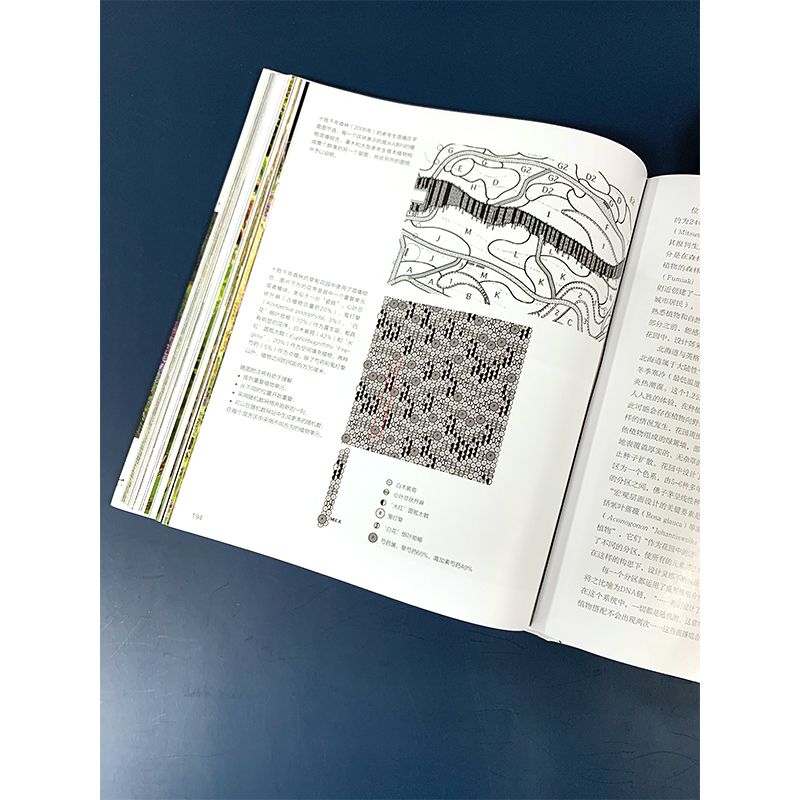 荒野之美 自然主义种植设计皮特奥多夫 荒草园林大师 自然主义种植设计 大型景观设计家庭庭院植物栽培技术园林园艺设计书籍,淘宝优惠券,粉丝福利购,淘宝优惠卷