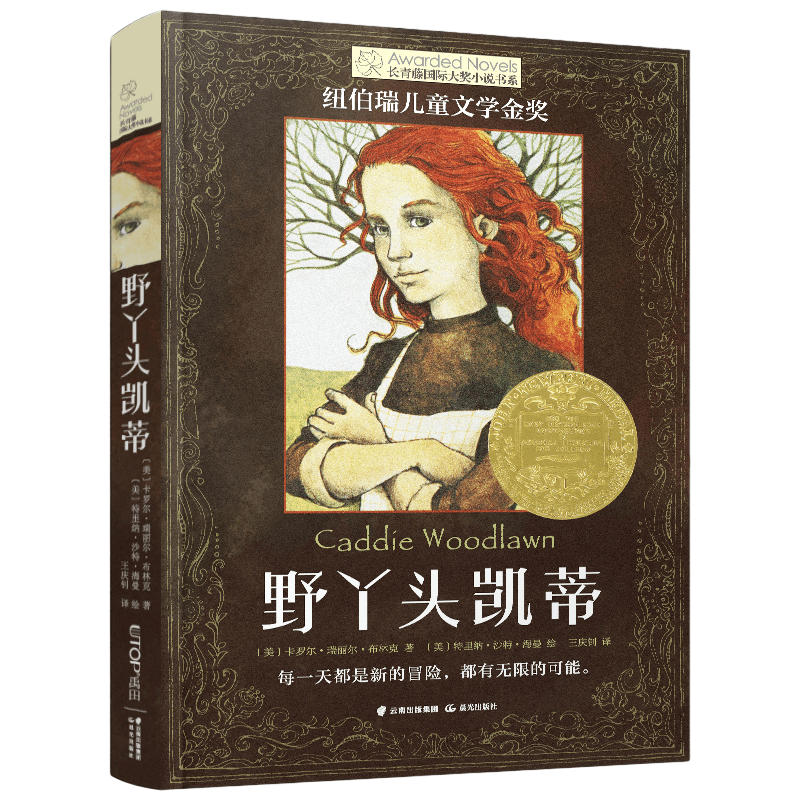 长青藤国际大奖小说书系 野丫头凯蒂 小学生三四五年级校园课外阅读书籍 外国儿童文学成长小说故事读物【凤凰新华书店旗舰店】 - 图0