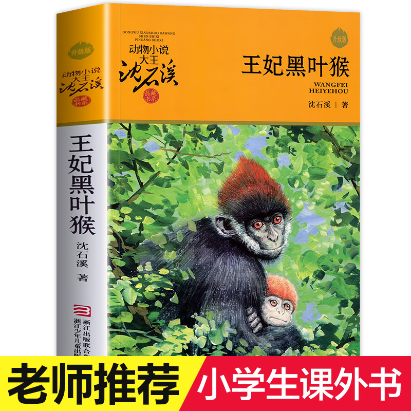 王妃黑叶猴动物小说沈石溪8-12岁儿童课外阅读故事书小学生书籍 - 图1