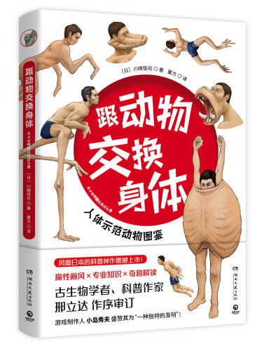 跟动物交换身体 插画师古生物研究者川崎悟司23种动物的身体结构及背后的生物进化奥秘科普认知书【凤凰新华书店旗舰店】 - 图3