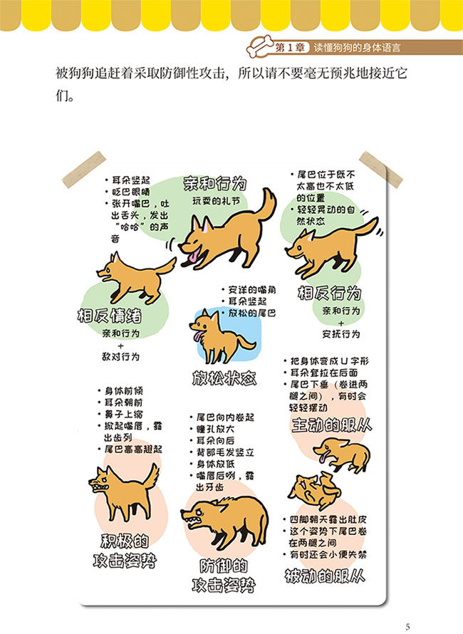 狗狗心理学让你更懂狗狗的67个秘诀二哈宠物养哈士奇狗书养狗百科养狗手册狗狗百科全书宠物书宠物犬驯养手册凤凰新华书店旗舰店_虎窝淘