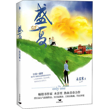 【印特签版+送随书赠品】盛夏正版实体书 木苏里著江某盛某2二 新增番外 江添VS盛望晋江高分青春文学言情小说 凤凰新华书店旗舰店 - 图3