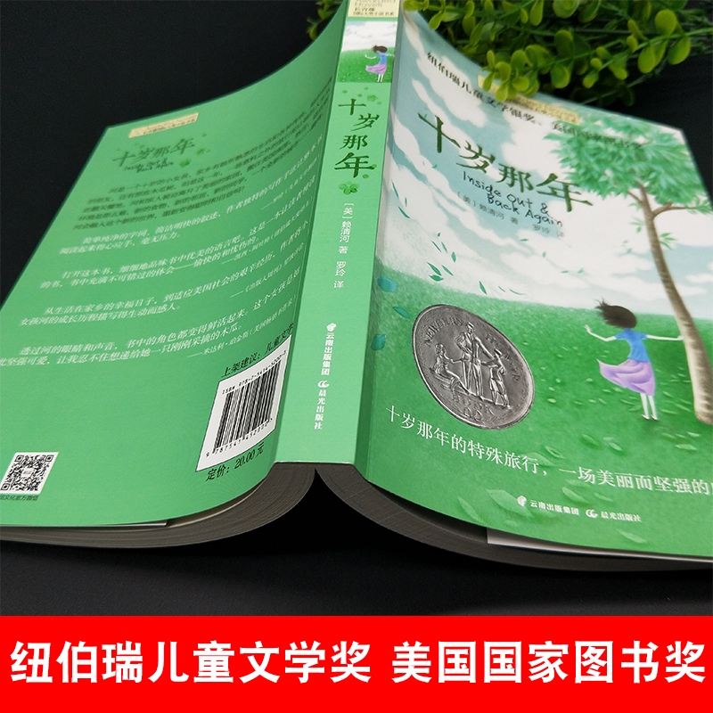 十岁那年长青藤国际大奖小说书9-15岁三四五六年级小学生课外阅读 - 图1