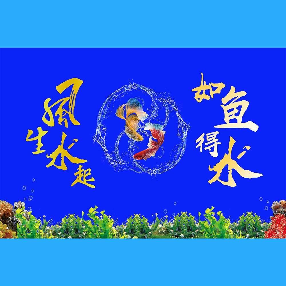 个性鱼缸背景壁纸舍得高清贴纸风生水起水族箱造景立体画自粘防水-图3