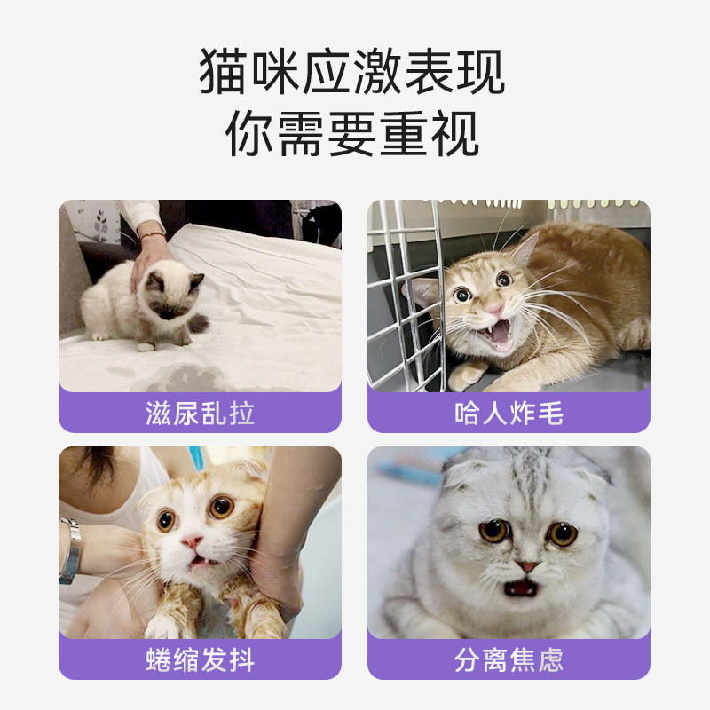 商品缩略图 1