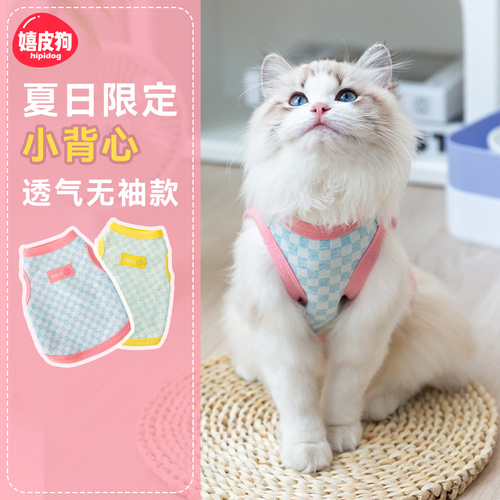 小猫咪衣服防掉毛夏天薄款英短蓝猫布偶幼猫夏季奶猫宠物防晒背心