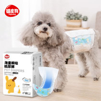 Public dog special paper diaper dog urine not wet teddy small pet sanitary physiological courtesy with anti-mating piss