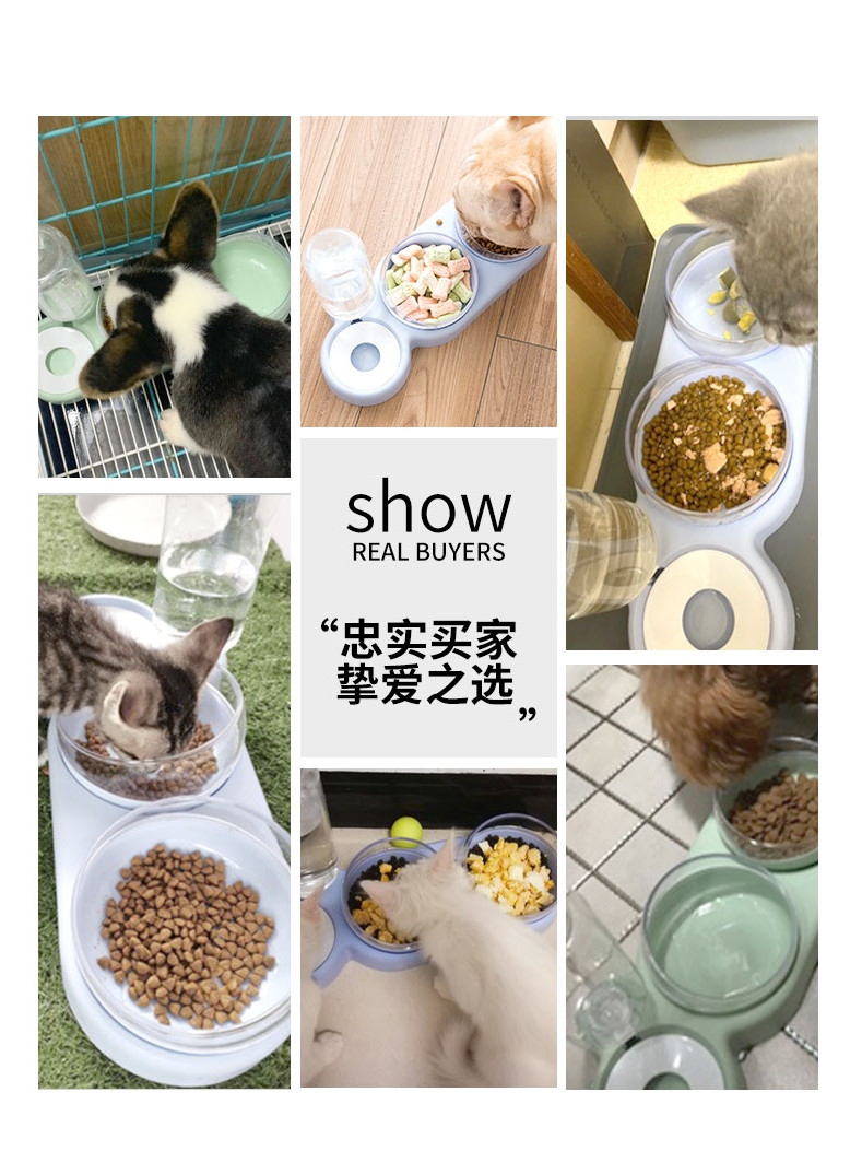 狗碗狗盆猫碗双碗自动饮水防打翻食盆宠物碗可爱猫咪饭盆狗狗用品 - 图3