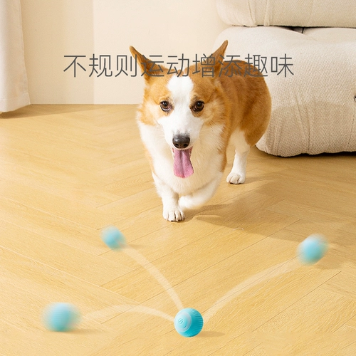 Игрушка для собак, измельчение зубов, автоматический мяч, самоотверженность, душные собачьи мяч для питомца Плат