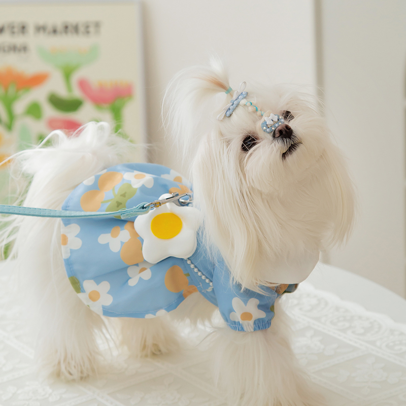 鸡蛋花宠物小狗狗衣服小型犬约克夏比熊牵引裙子泰迪宠物夏季薄款-图2