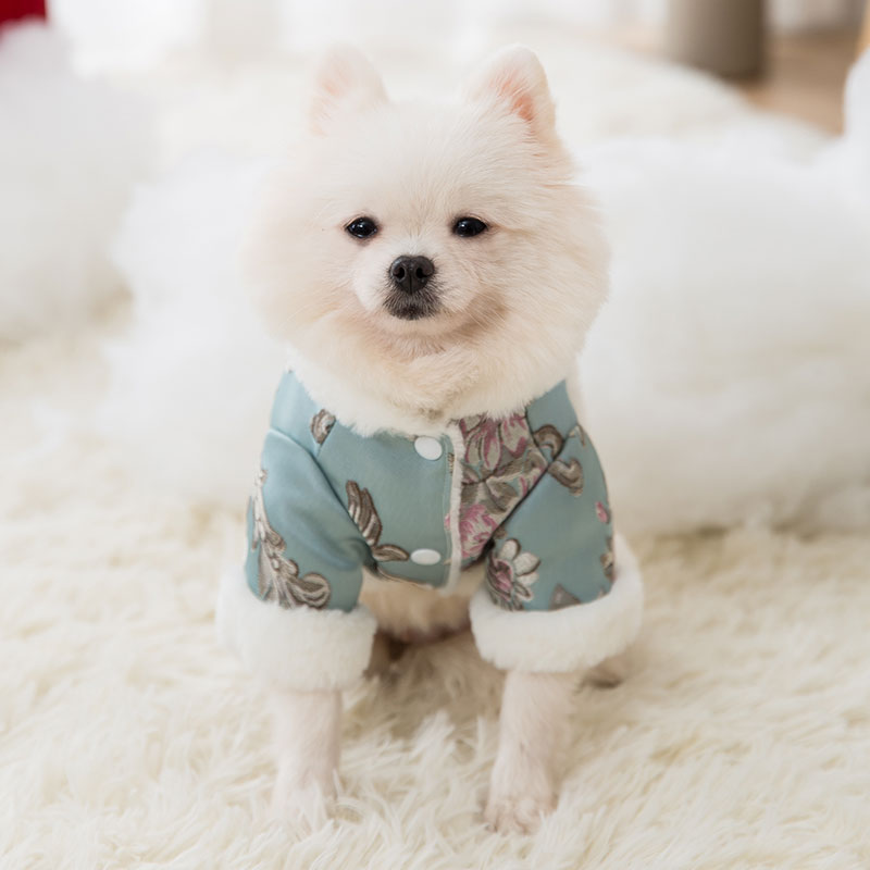 新年双盘扣小狗狗衣服秋冬款雪纳瑞宠物博美小型犬泰迪冬季拜年服 - 图1