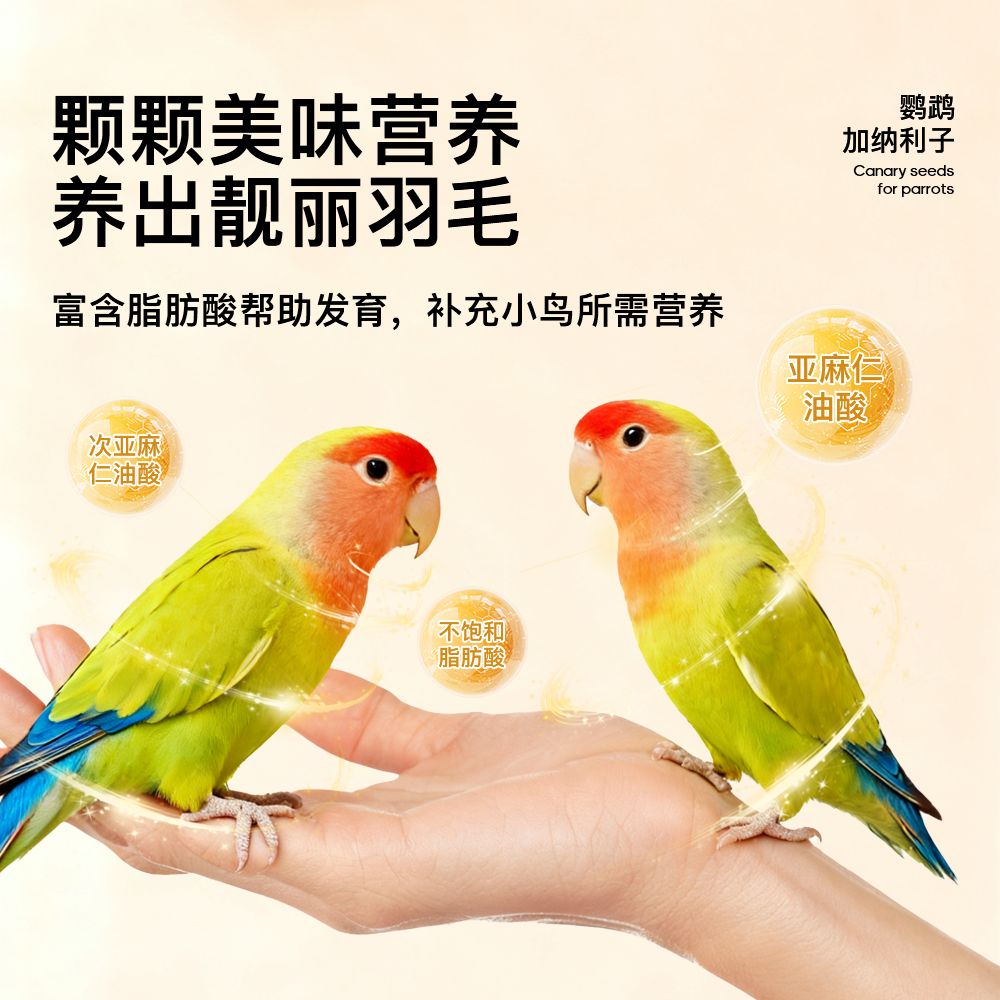 青松宠鹦鹉加纳利子鸟食虎皮牡丹玄凤小太阳专用粮训练奖励鸟零食,淘宝优惠券,粉丝福利购,淘宝优惠卷