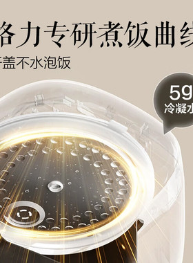 格力0涂层不锈钢内胆快煮电饭煲