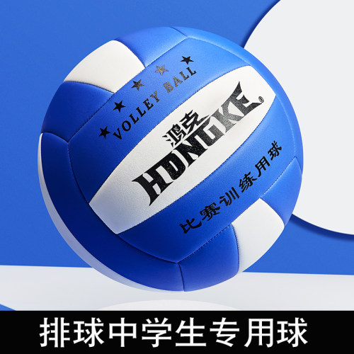 中考学生专用排球小学生女生气排球比赛软硬排球初中生考试专用球 - 图0
