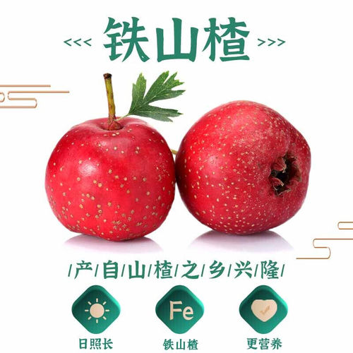 巨源原味山楂 零食条糕片卷400g*2袋老式果丹皮小包装无添加色素 - 图0