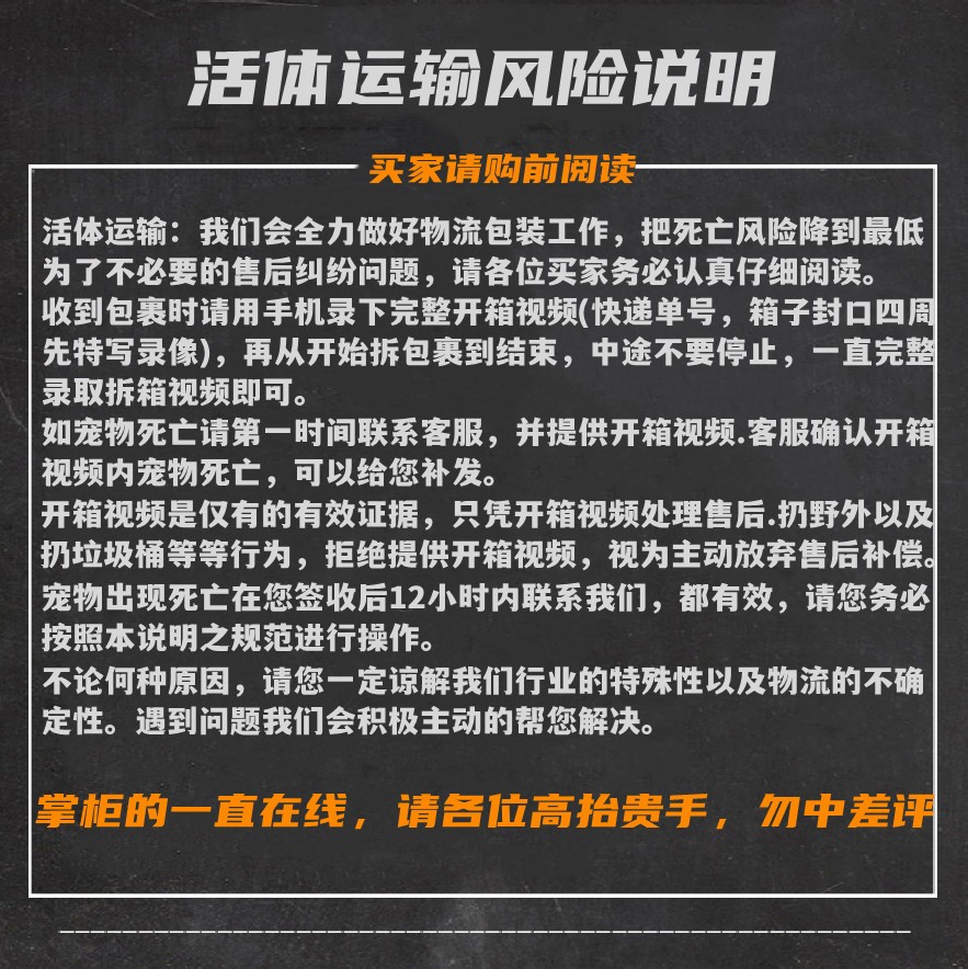 大个体南美角蛙宠物青蛙小丑蛙姥爷树蛙霸王黄金绿角波子蝴蝶角蛙 - 图2