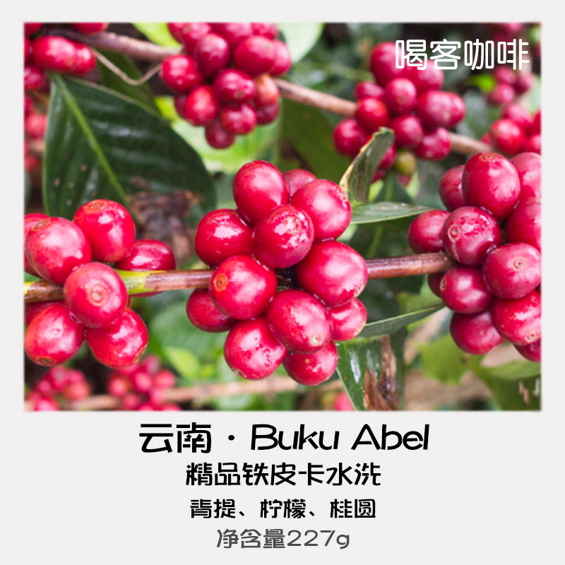 喝客精品咖啡豆 云南精品buku abel保山铁皮卡豆可现磨咖啡粉227g