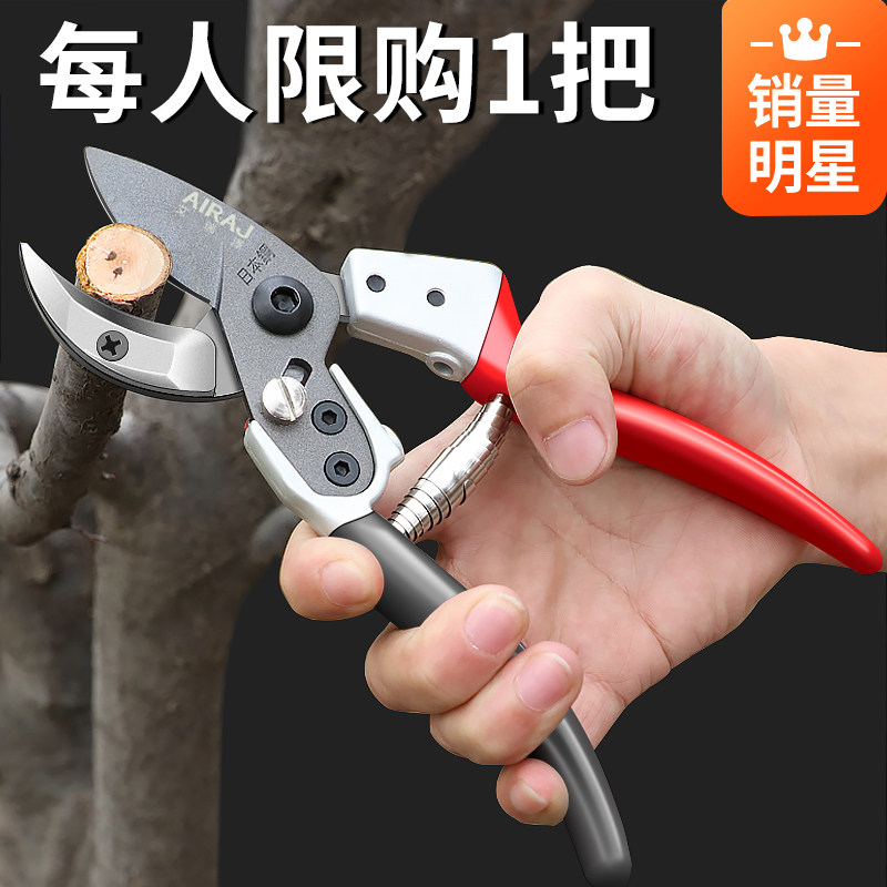 花剪园林园艺大剪刀修枝剪树枝剪刀剪子果树摘菜茶叶水果神器省力_虎窝淘