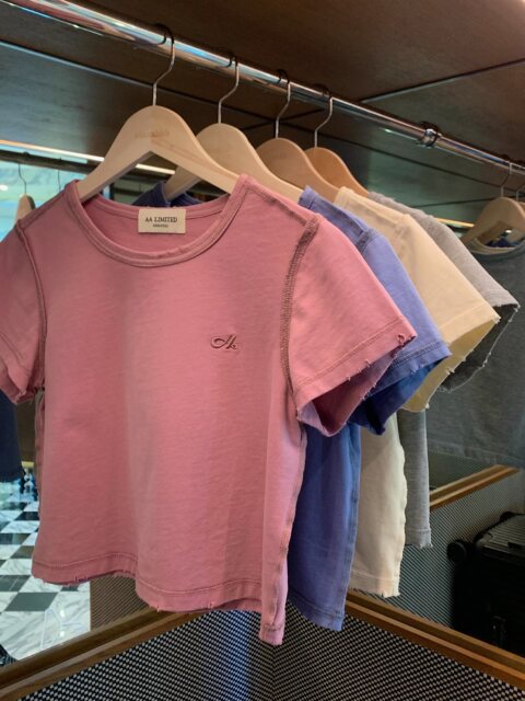 Aaaaxbbb ເສື້ອທີເຊີດເທິງ embroidered retro ຝ້າຍສໍາລັບແມ່ຍິງ