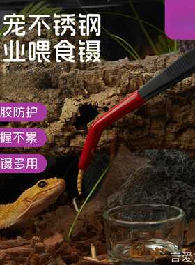 ins宠物镊镊子夹子宫蟋蟀夹子蜥新派宠物爬宠爬虫家用收纳