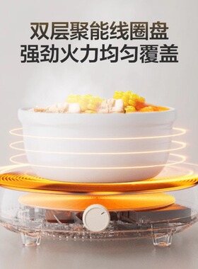 苏泊尔电磁炉家用小型迷你