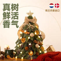 Import Nobépine Christmas Tree True Tree Home Small Christmas Desktop Swing Pieces Advanced creative Decorative Suits
