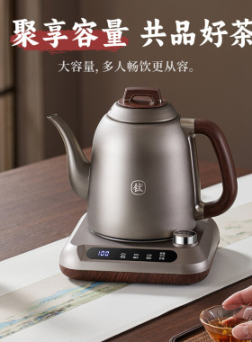 纯钛全自动底部上水电热